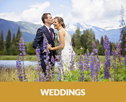 Weddings