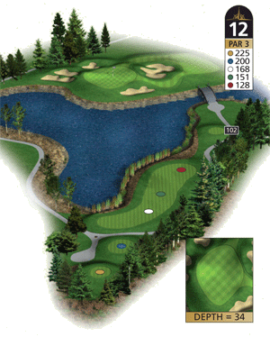 Hole 12 Hole 12 graphic