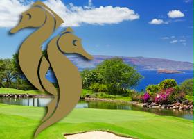 Seahorse Swing Pass at Wailea Golf Club Seahorse Swing Pass at Wailea Golf Club